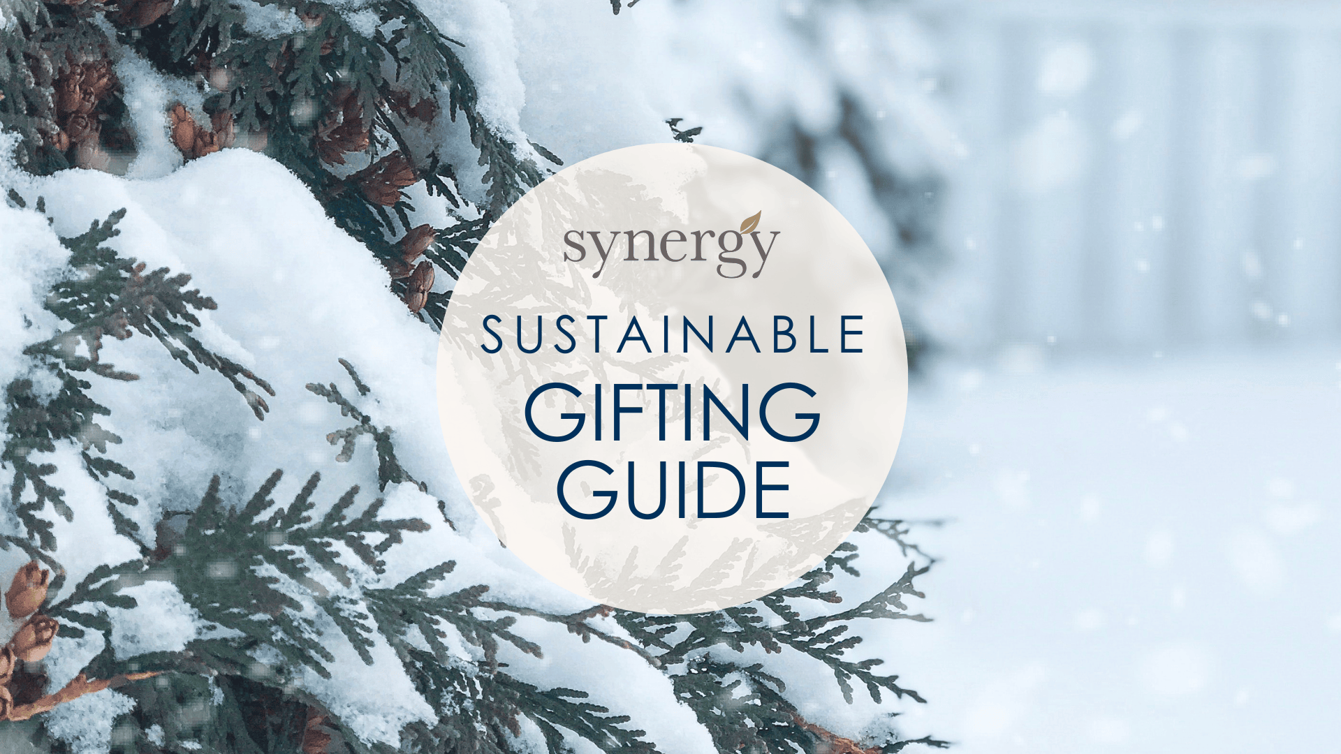 Synergy’s Sustainable Gifting Guide