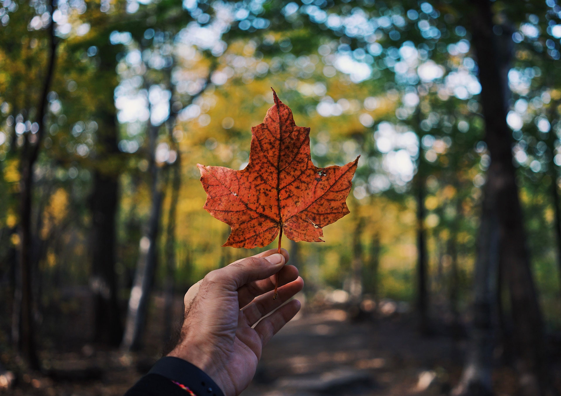 Truth & Reconciliation: Resources for Businesses