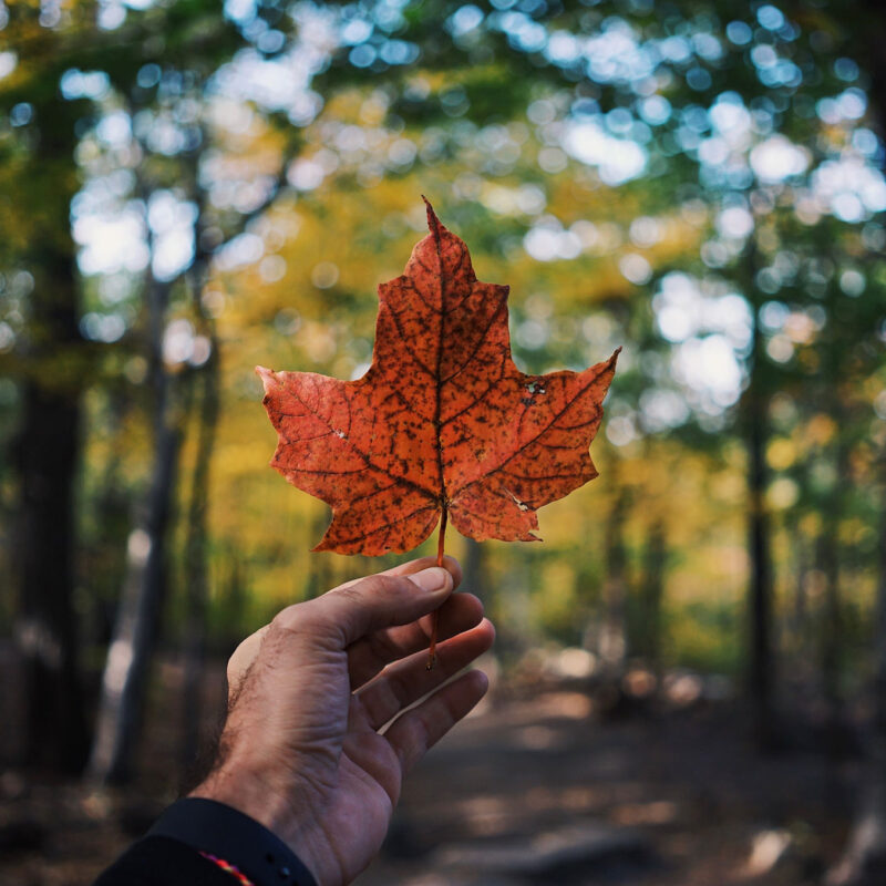 Truth-&-Reconciliation-Resources-for-Businesses