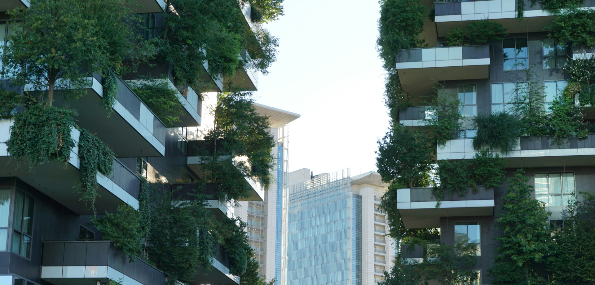 Two modern buildings with vertical gardens covering their facades.