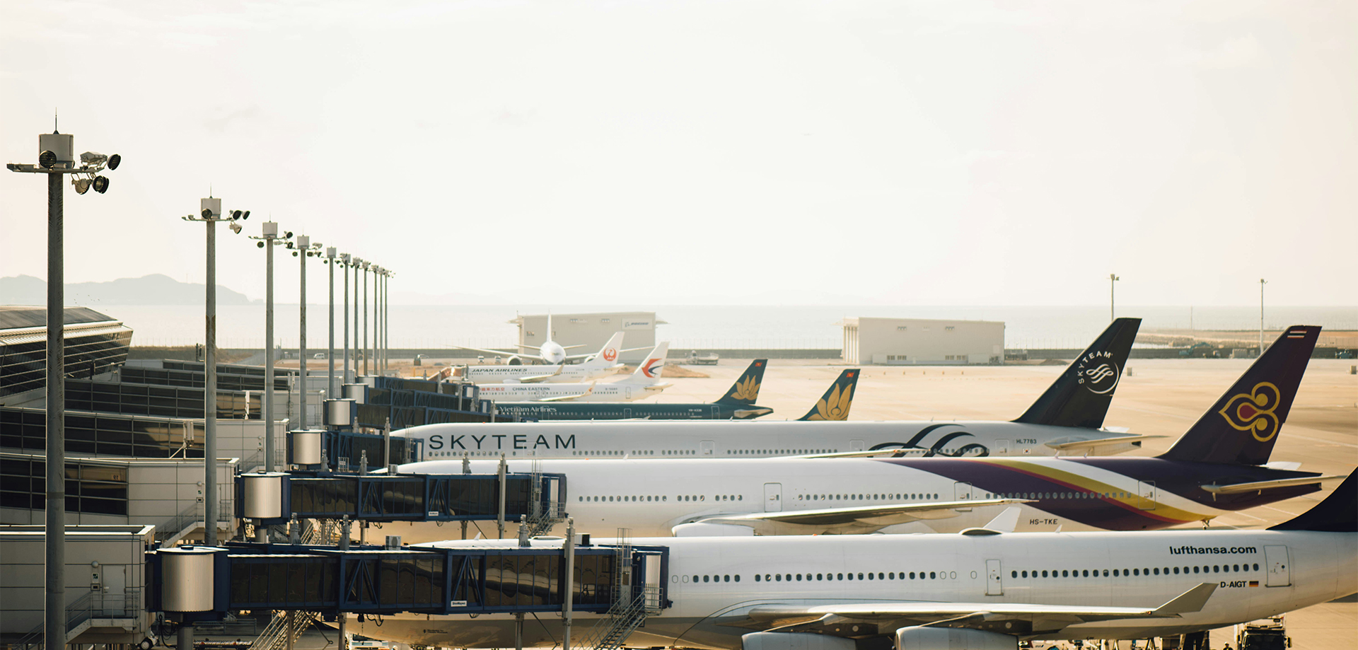 Aviation sustainability consulting