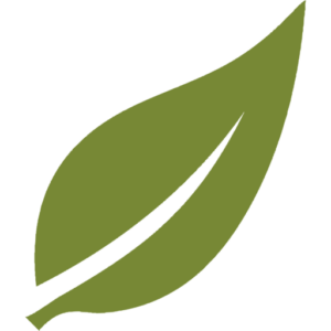 Synergy leaf icon