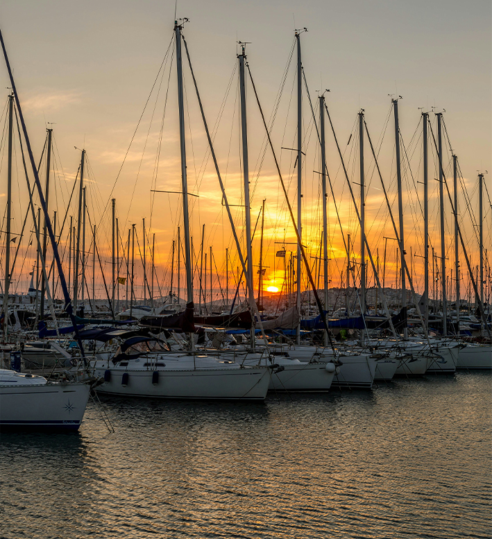 marina at sunset with many sailboats