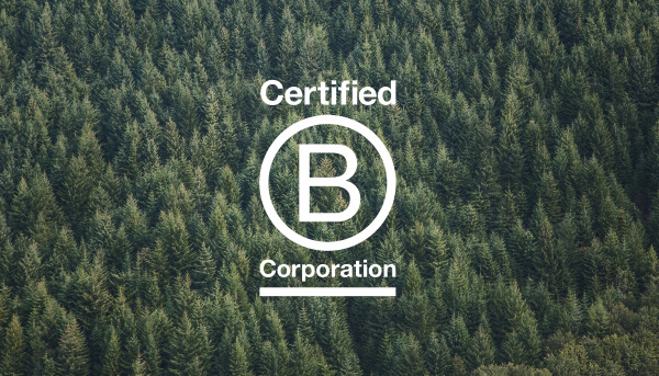 B Corp Continues to Raise the Bar
