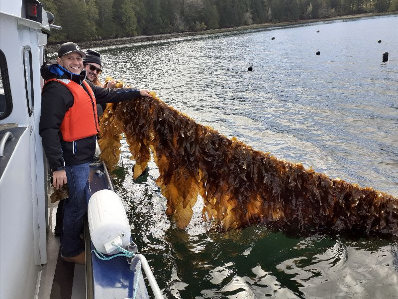 Cascadia Seaweed Joins the Global B Corp Movement