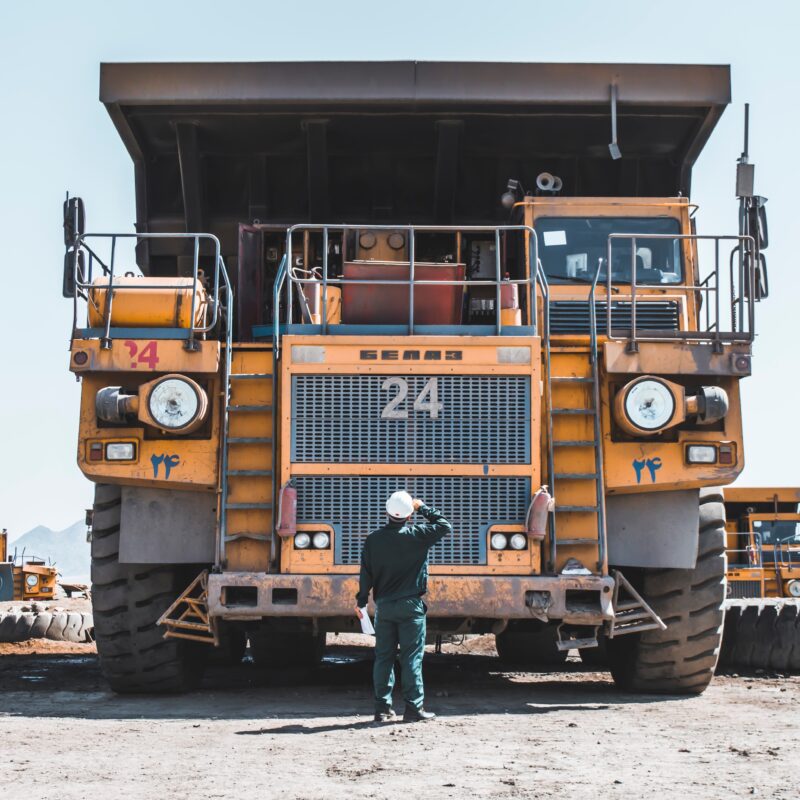 Critical Minerals in Sustainable Development