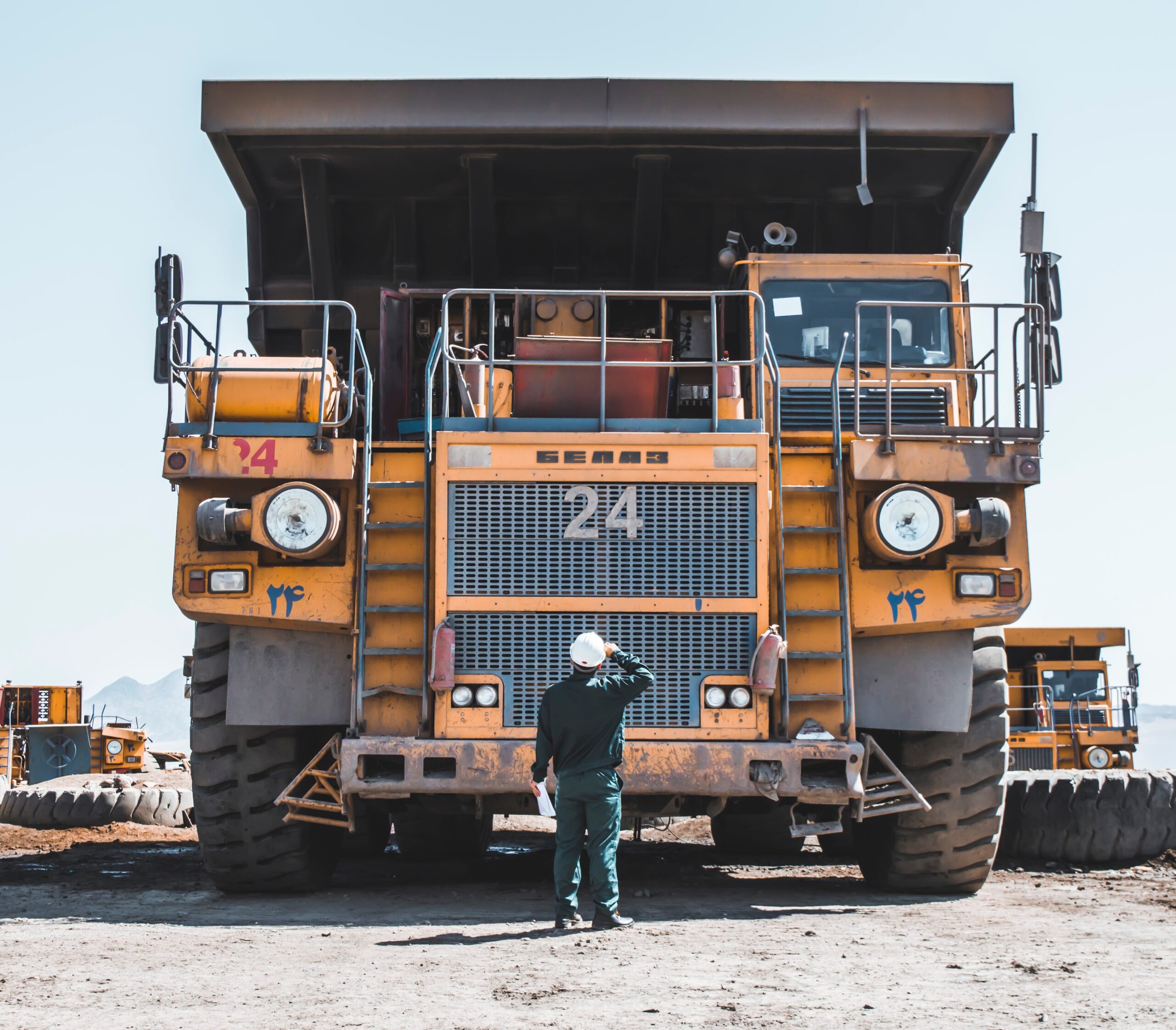 Critical Minerals in Sustainable Development