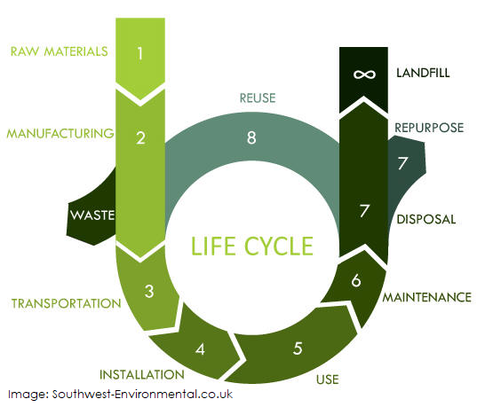 Life Cycle
