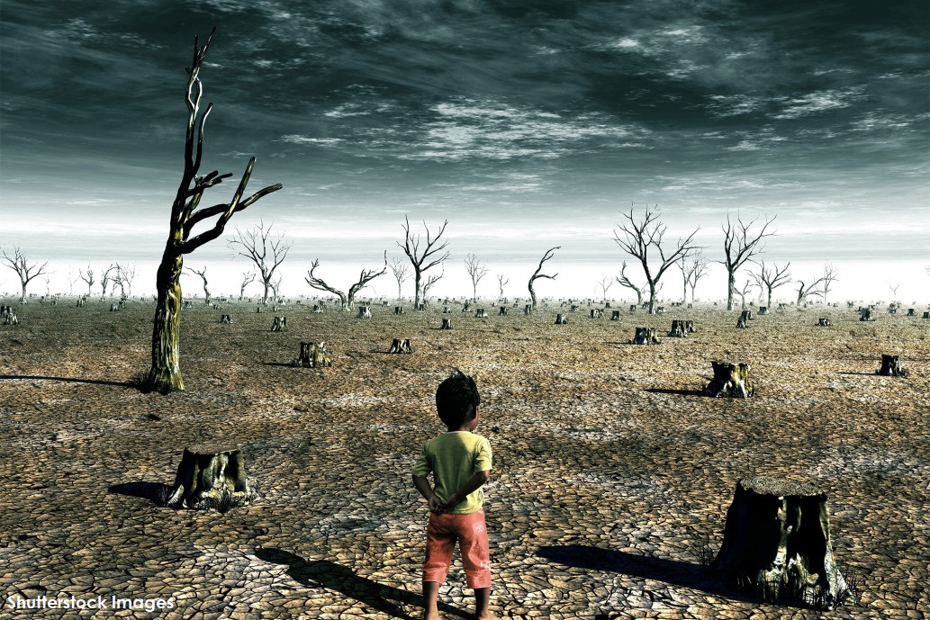 Rapid Changes Needed to Avoid Catastrophic Climate Change