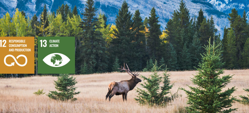 SDGs in Action Discover Banff Tours