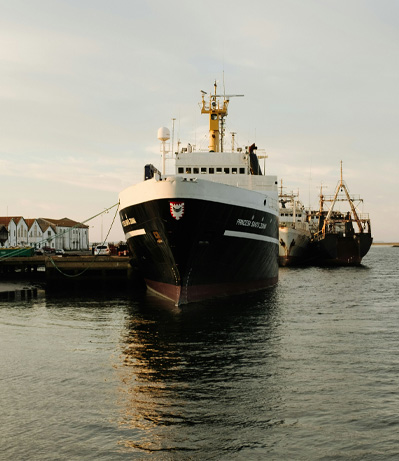 Two large ships are docked at a pier in calm water under a pale sky. Buildings are visible on the shore to the left.