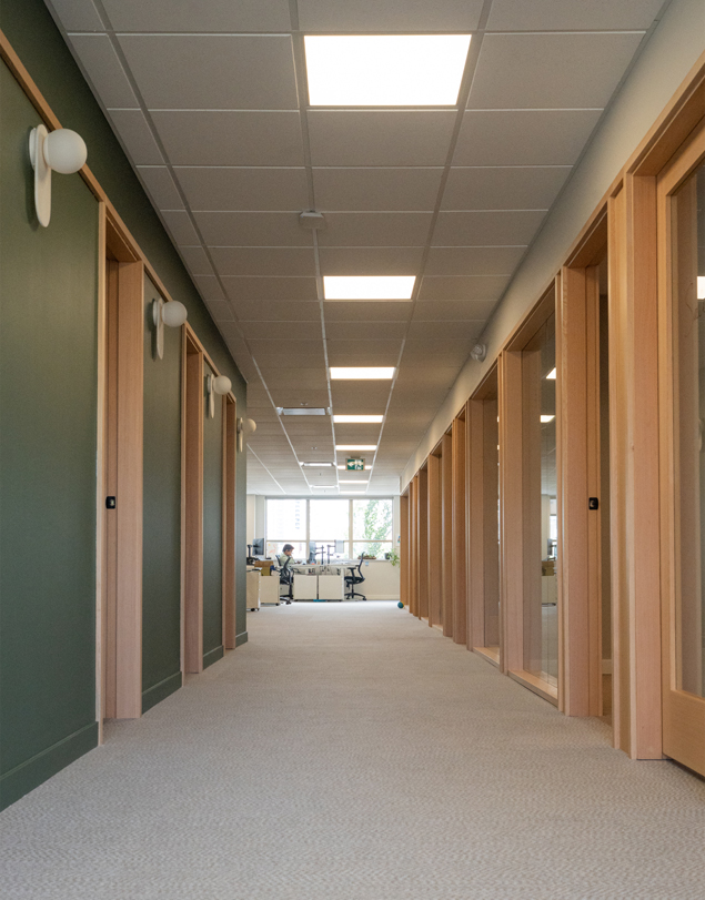 Synergy Enterprises sustainability consulting bright office hallway with teal and wood walls.