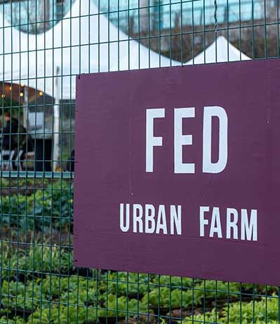 Synergy FED Urban Farm sign on a fence surrounding raised garden planters filled with various green plants and vegetables.