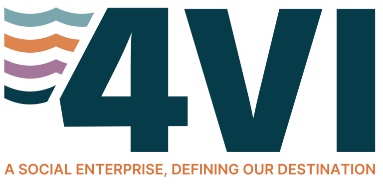 4VI - A social Enterprise, Defining Our Destination.