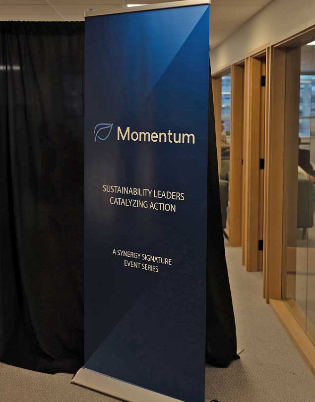 Synergy Sustainability Leaders Momentum event banner.